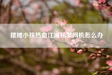 摆摊小孩热血江湖私发网机怎么办