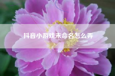抖音小游戏未命名怎么弄