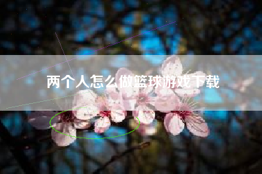 两个人怎么做篮球游戏下载