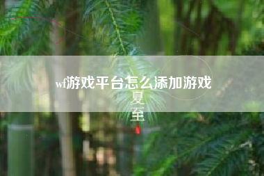 wf游戏平台怎么添加游戏
