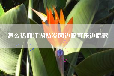 怎么热血江湖私发网边喝可乐边唱歌