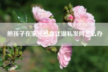 熊孩子在家光热血江湖私发网怎么办