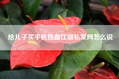 给儿子买手机热血江湖私发网怎么说