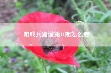 游戏兵器谱第11期怎么看