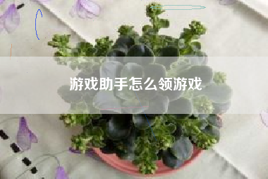 游戏助手怎么领游戏