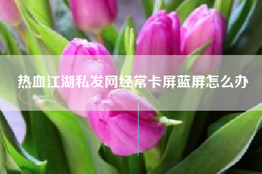 热血江湖私发网经常卡屏蓝屏怎么办
