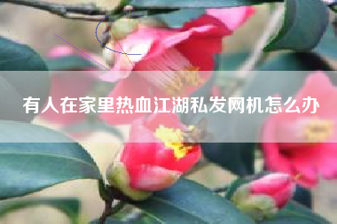 有人在家里热血江湖私发网机怎么办