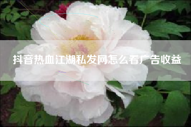 抖音热血江湖私发网怎么看广告收益