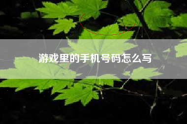 游戏里的手机号码怎么写