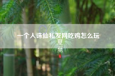 一个人诛仙私发网吃鸡怎么玩