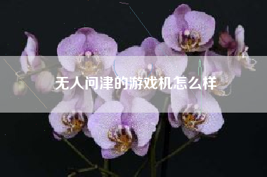 无人问津的游戏机怎么样