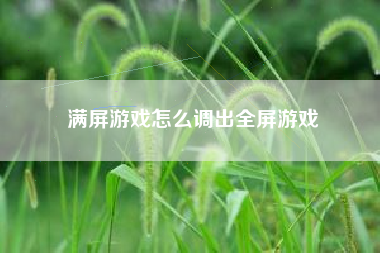 满屏游戏怎么调出全屏游戏