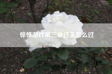惊悚游戏第三章过关怎么过