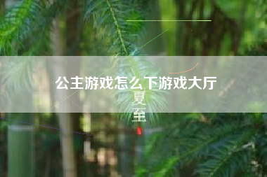 公主游戏怎么下游戏大厅