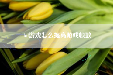 lol游戏怎么提高游戏帧数