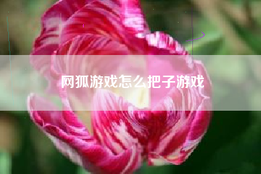 网狐游戏怎么把子游戏