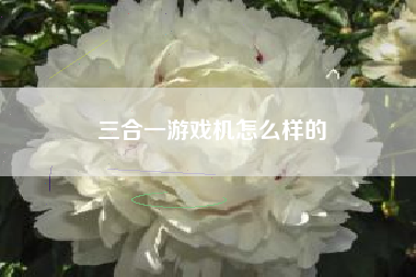 三合一游戏机怎么样的