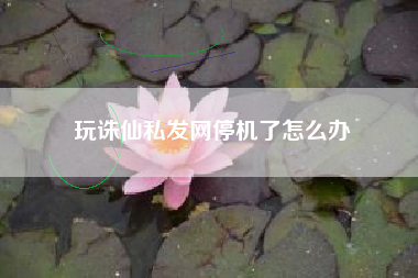 玩诛仙私发网停机了怎么办