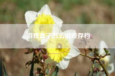 游戏盒子怎么游戏存档