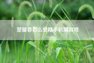 楚留香怎么登陆手机版游戏