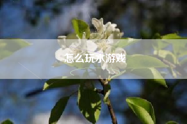 怎么玩水游戏
