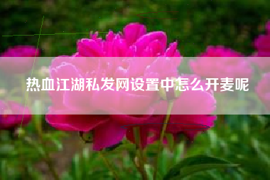 热血江湖私发网设置中怎么开麦呢