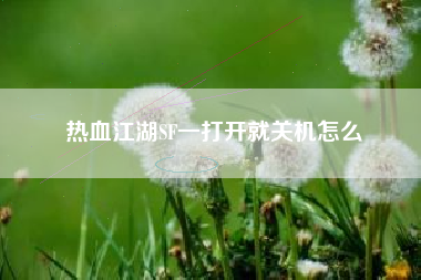 热血江湖SF一打开就关机怎么