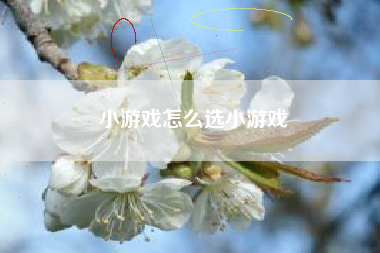 小游戏怎么选小游戏