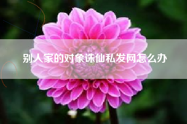 别人家的对象诛仙私发网怎么办