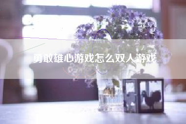 勇敢雄心游戏怎么双人游戏
