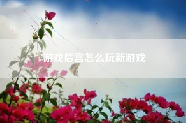 游戏后宫怎么玩新游戏