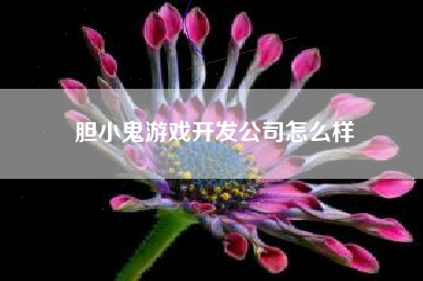胆小鬼游戏开发公司怎么样