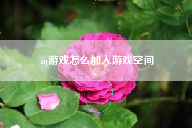 iq游戏怎么加入游戏空间