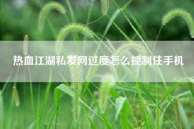 热血江湖私发网过度怎么控制住手机