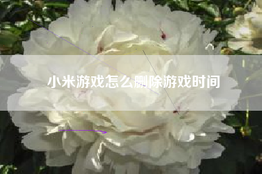小米游戏怎么删除游戏时间