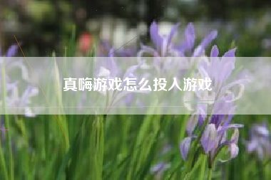 真嗨游戏怎么投入游戏