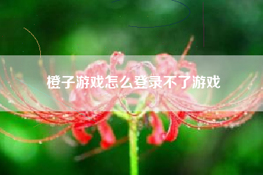 橙子游戏怎么登录不了游戏