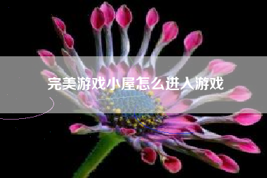 完美游戏小屋怎么进入游戏