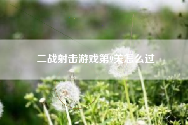 二战射击游戏第9关怎么过