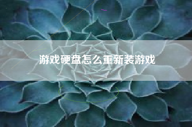 游戏硬盘怎么重新装游戏  第1张
