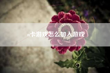 n卡游戏怎么加入游戏