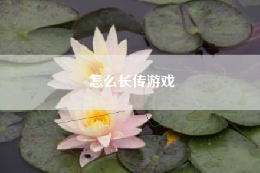 怎么长传游戏