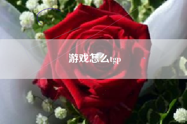 游戏怎么tgp