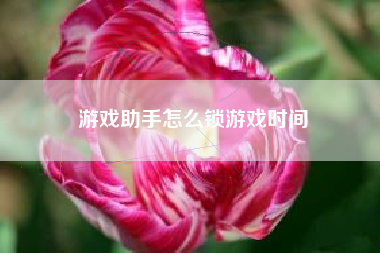 游戏助手怎么锁游戏时间