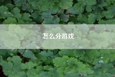 怎么分游戏
