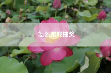怎么游戏抽奖