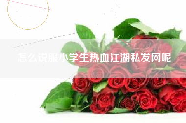 怎么说服小学生热血江湖私发网呢
