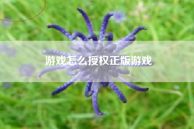 游戏怎么授权正版游戏