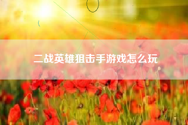 二战英雄狙击手游戏怎么玩  第1张