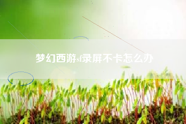 梦幻西游sf录屏不卡怎么办  第1张